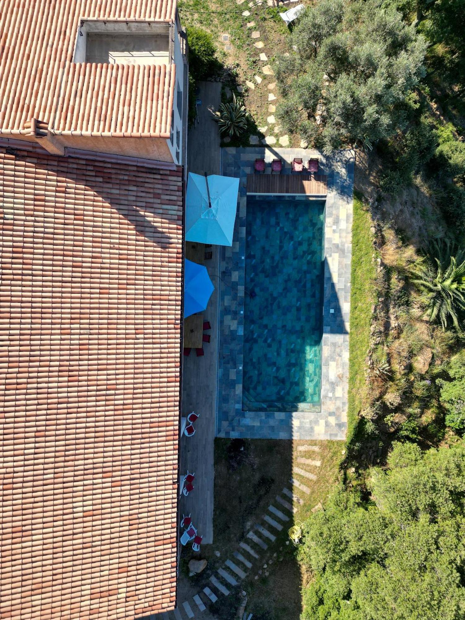 Grande Villa 750 M2 Le Mas Des Chenes Bormes-les-Mimosas Exterior photo